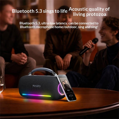 YESIDO YSW43 60W Portable Bluetooth Speaker