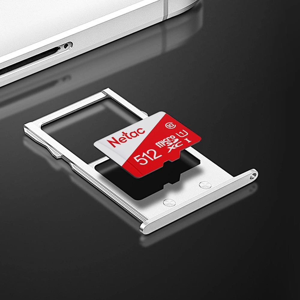 Netac P500 Class 10 MicroSD Memory Card + SD Adapter